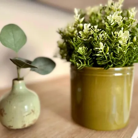 Splendide Loft Avec Jacuzzi Et Cinema - Cap D'agde Apartman Agde