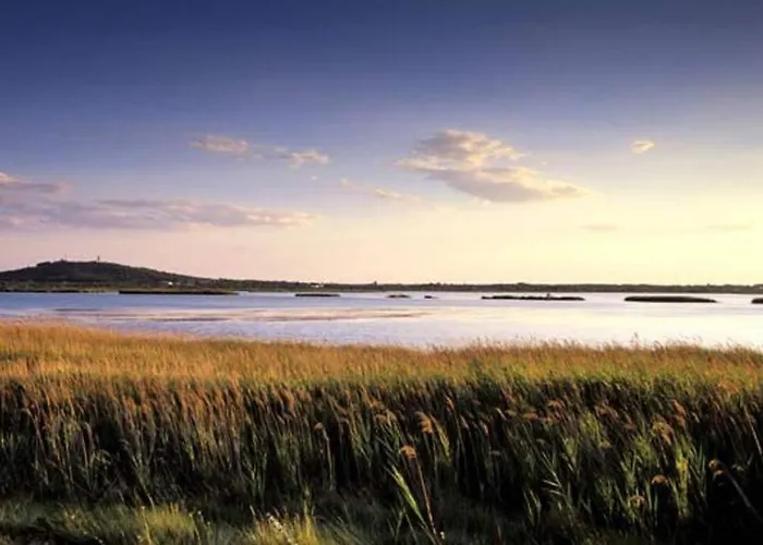 Splendide Loft Avec Jacuzzi Et Cinema - Cap D'agde アパート アグド