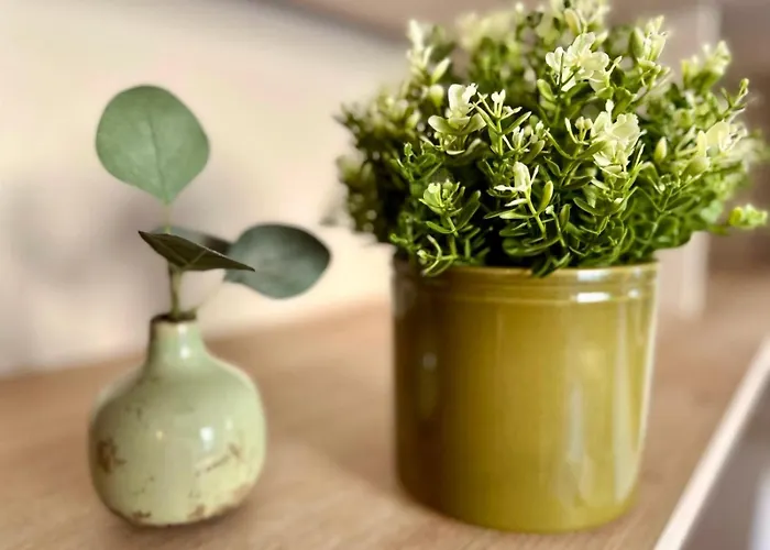 Splendide Loft Avec Jacuzzi Et Cinema - Cap D'agde アパート アグド